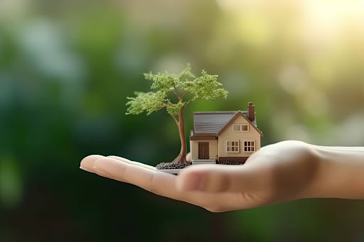 Cuidado com o planeta: transforme seu lar em uma casa sustentável